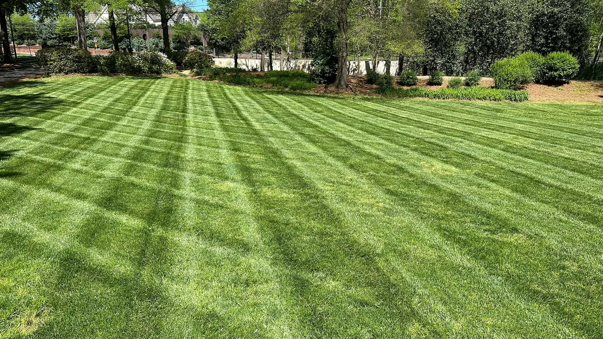 A large healthy green lawn with mowing stripes at a business in Pineville, NC.