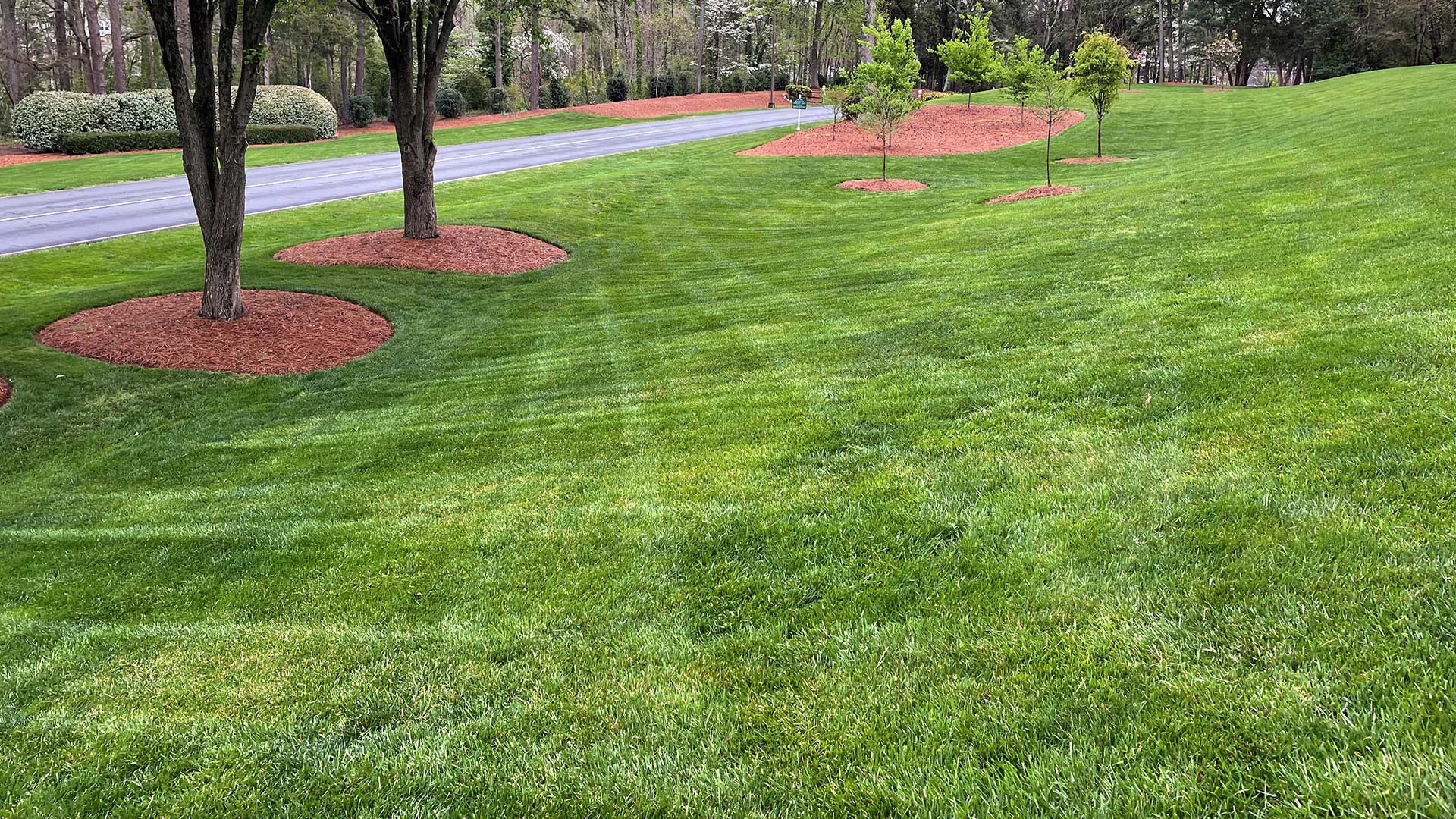 Large commercial property in Pineville, NC that our team just completed their weekly lawn maintenance.