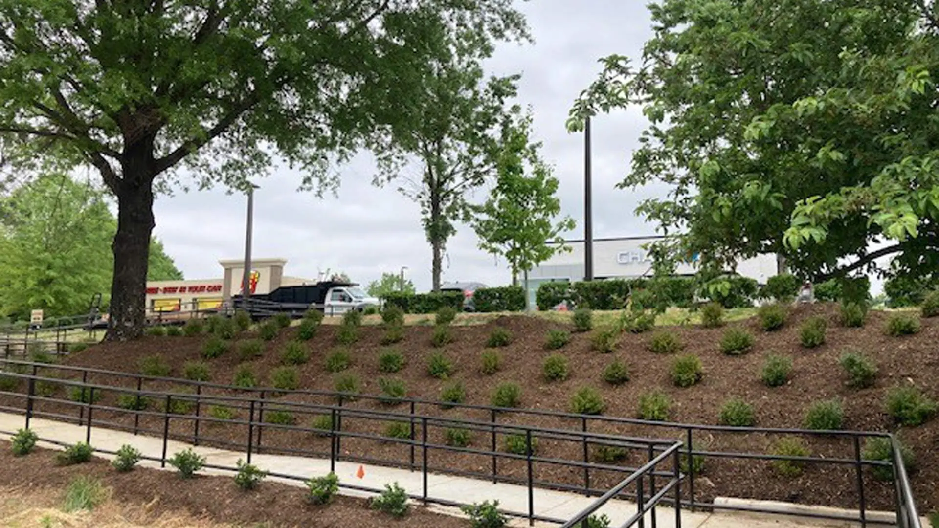 Landscape bed installed for commercial property in Charlotte, NC.