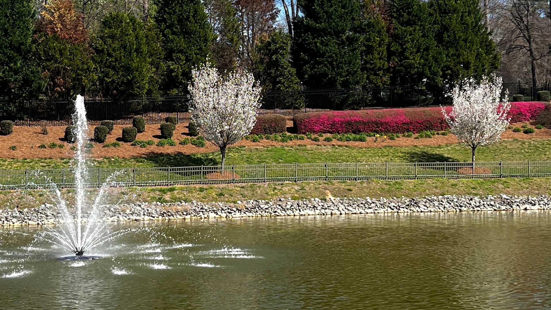 Landscaping around a beautiful pond the includes nicely maintained shrubs, plants, and trees.