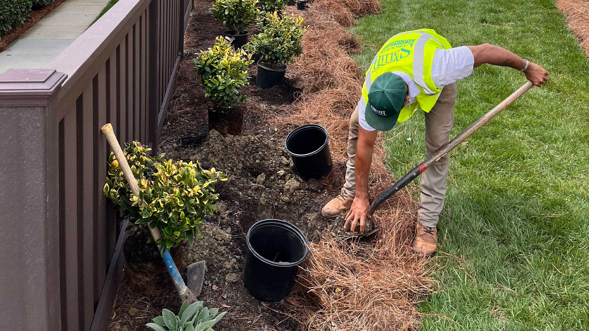 Smith Grounds Management employee installing new plant, shrubs, and mulch.