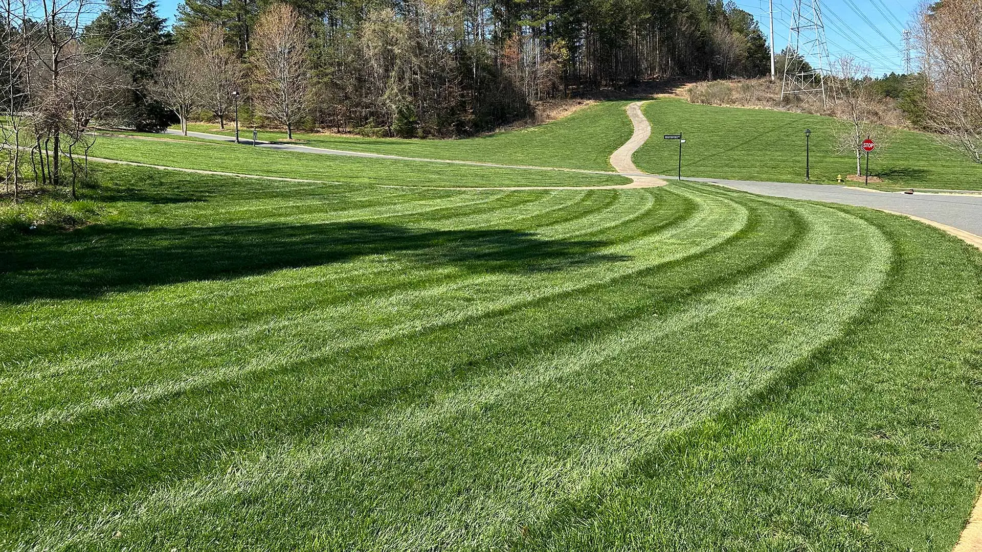 HOA Lawn Transformation Project in Belmont, NC - Fertilization, Aeration & More