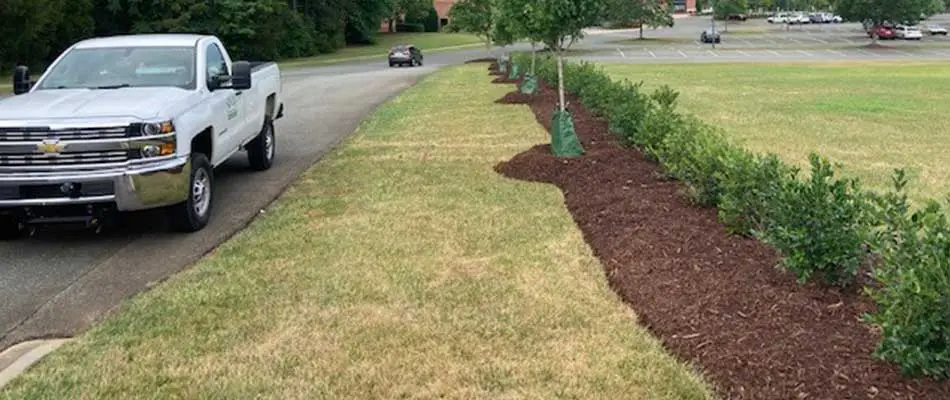 Brown mulch installed in a landscaping bed that aligns a parking lot.