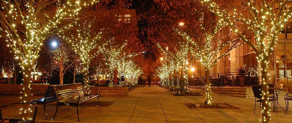 Trees with Christmas lights at a shopping plaza in Charlotte, NC.