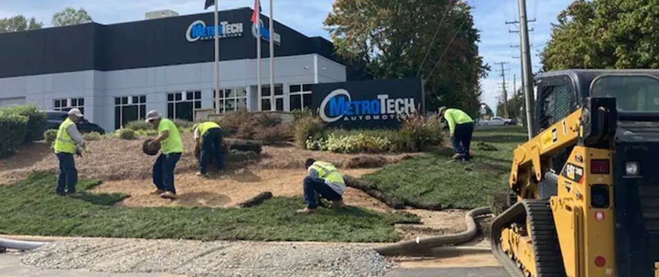 New landscaping and sod installed at a business in Matthews, NC