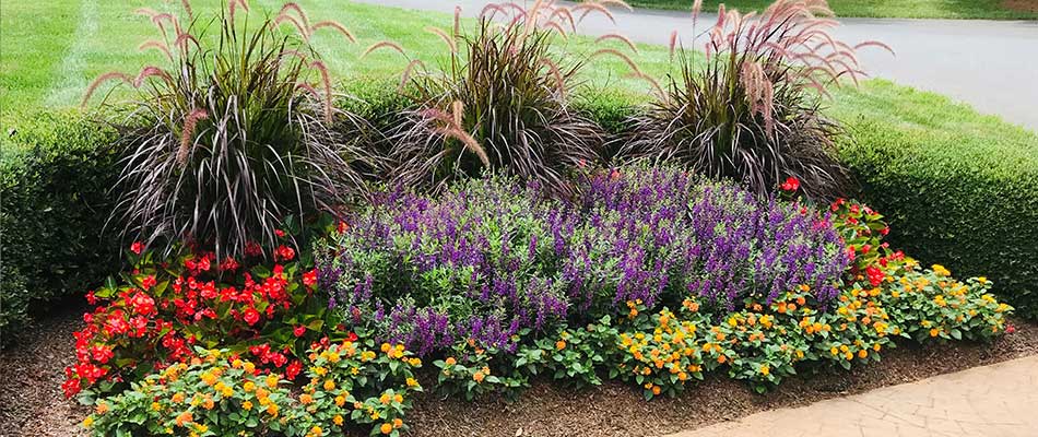 Landscape design with plants, flowers, shrubs, and mulch installed by our team of professionals.