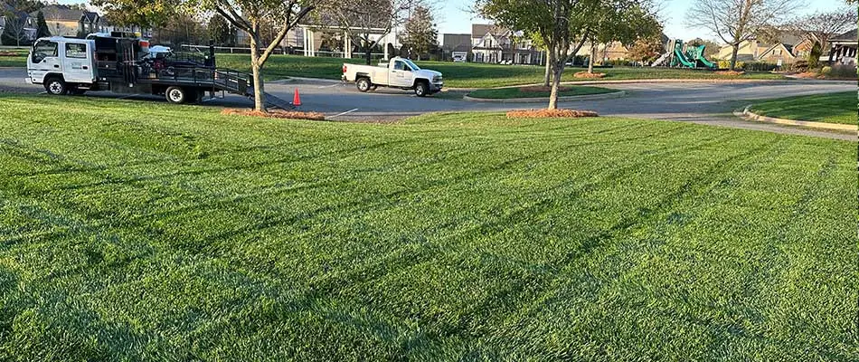 Green and healthy lawn that receives routine fertilization and weed control treatments in  Matthews, NC.