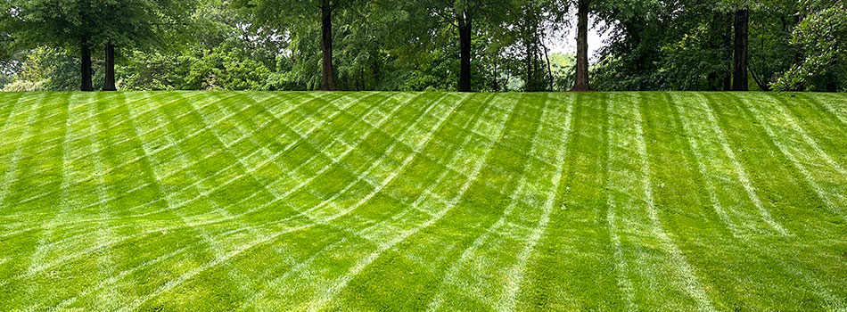 Freshly mowed commercial property with striping in Charlotte, NC.