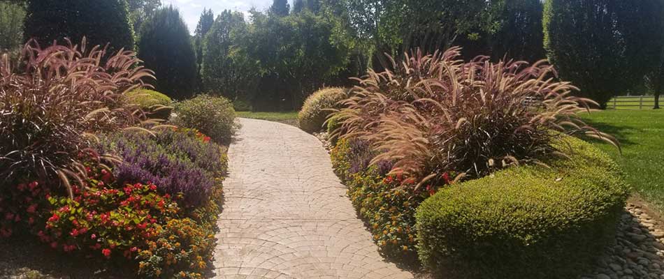 Landscaping installed by Smith Grounds Management that has fully matured.