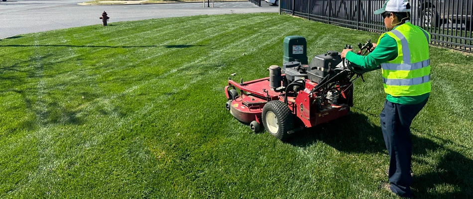 A professional landscaper mowing a commercial property in Charlotte, NC.