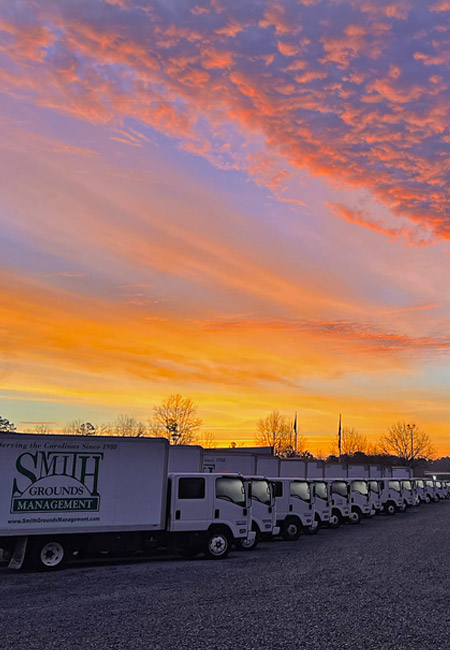 Landscape trucks during sunrise.