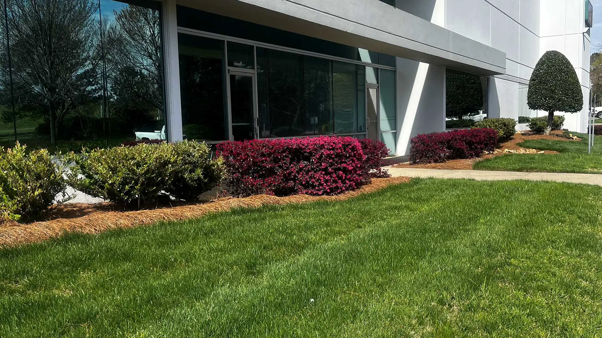 Our work maintaining an office building in a business park.