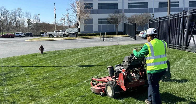 Mowing commercial property's lawn.