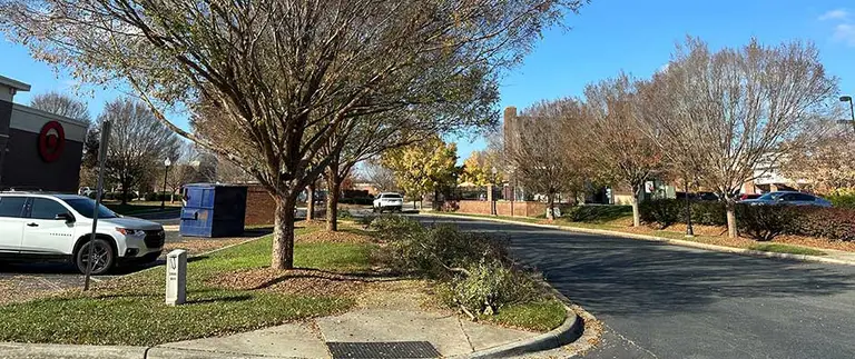 commercial tree trimming