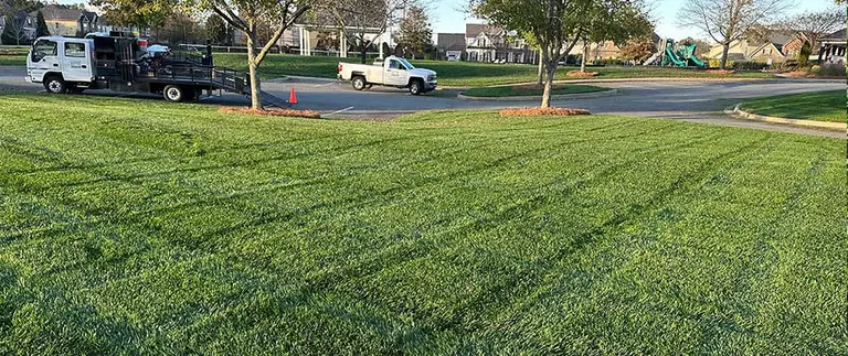 healthy commercial fertilized lawn