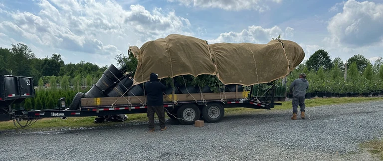 commercial plantings install